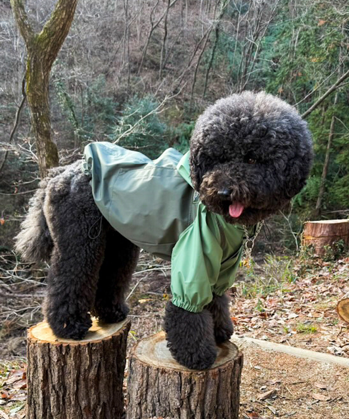 Mountain DOG Hoodie