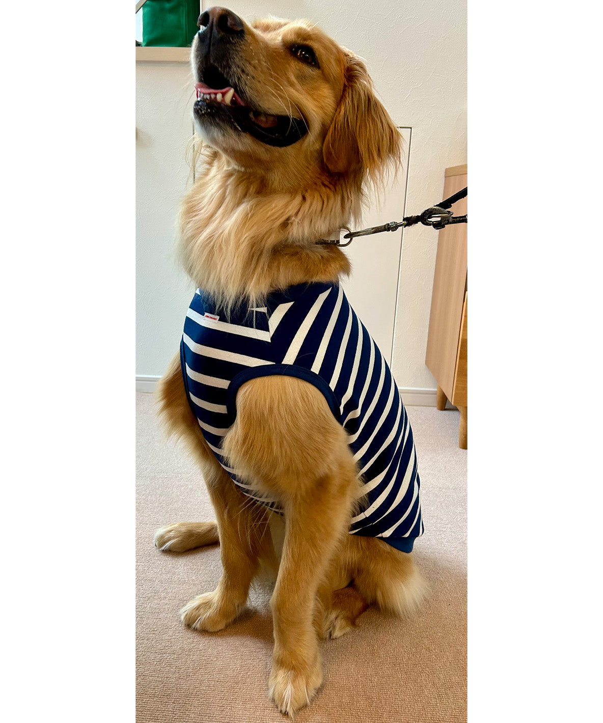 Insect Shield Striped DOG Tee