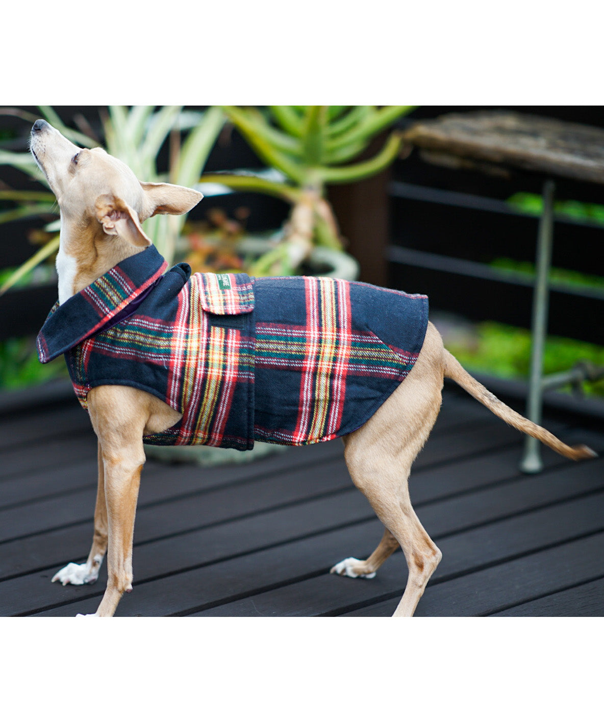 Quilting Reversible DOG Jacket