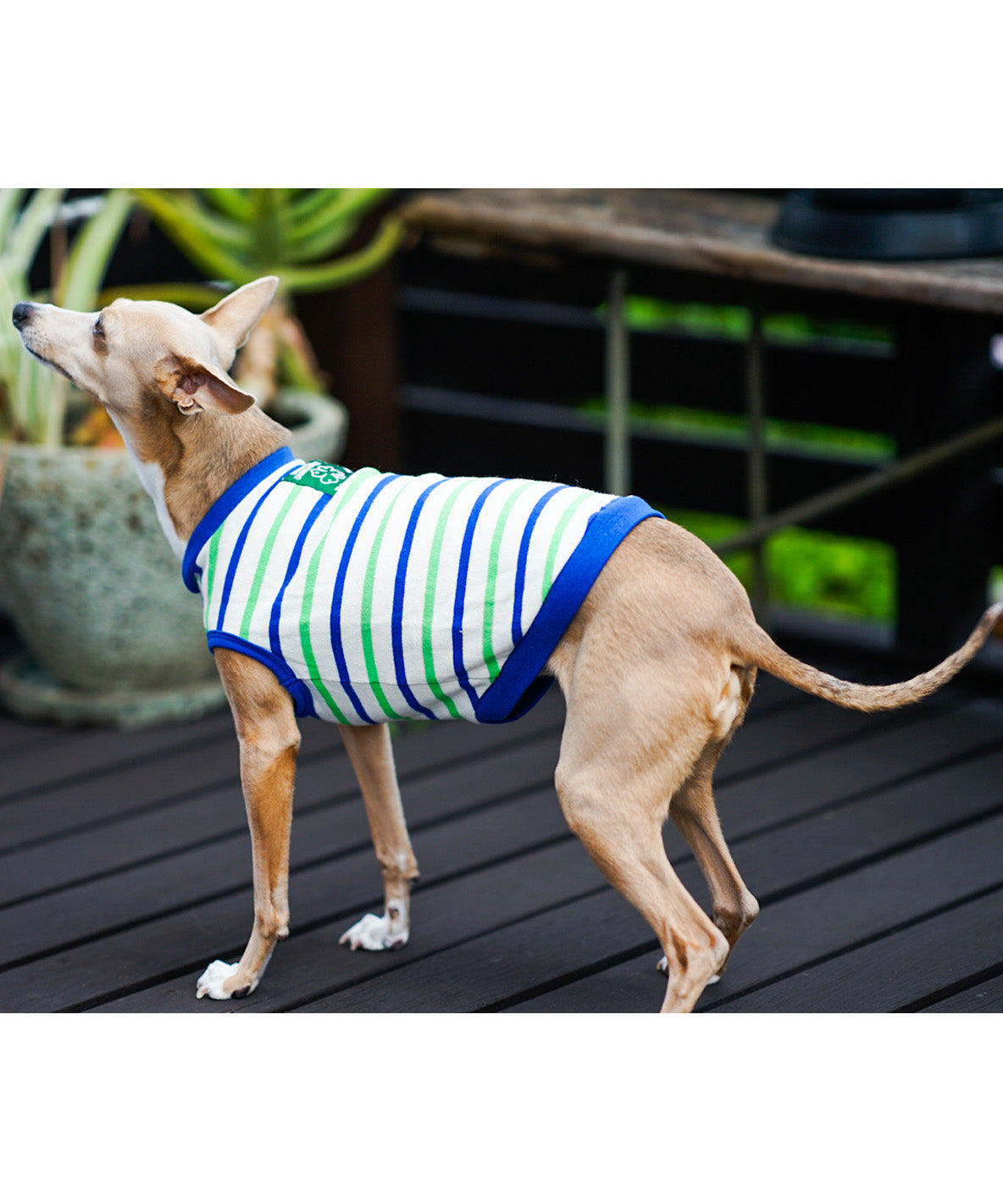 Striped DOG Tee