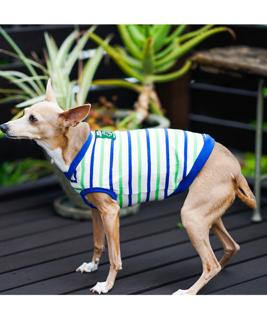 Striped DOG Tee