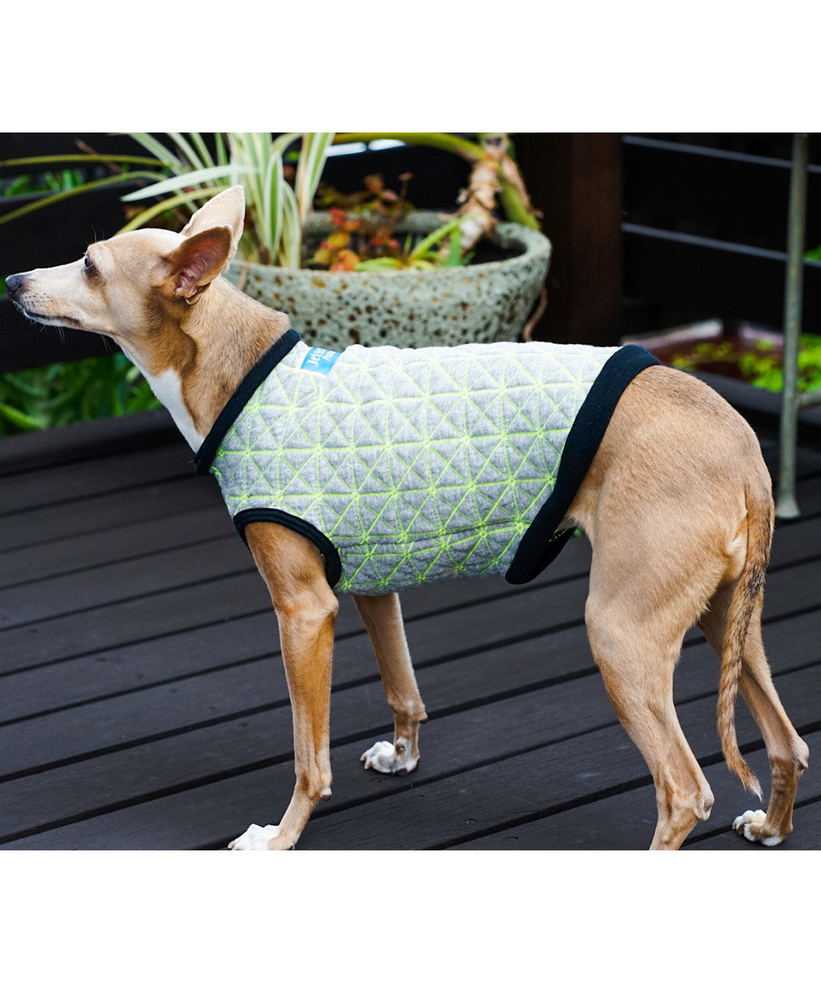 Quilt Jacquard DOG Tee