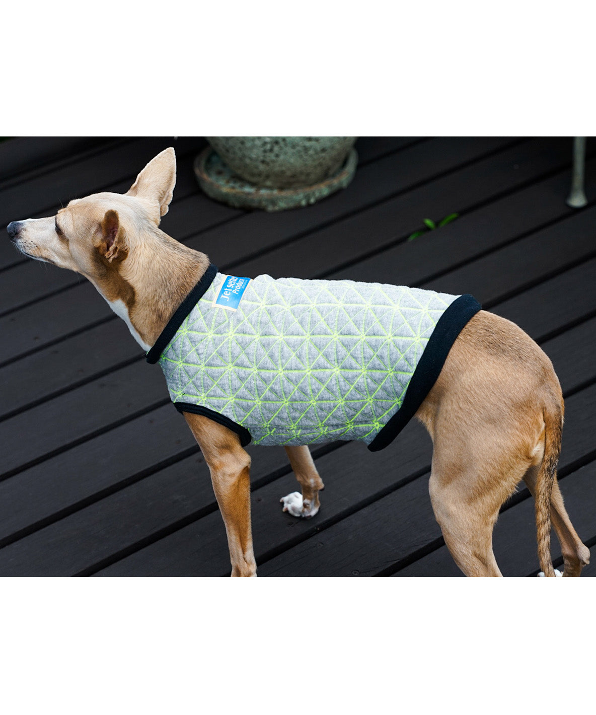 Quilt Jacquard DOG Tee