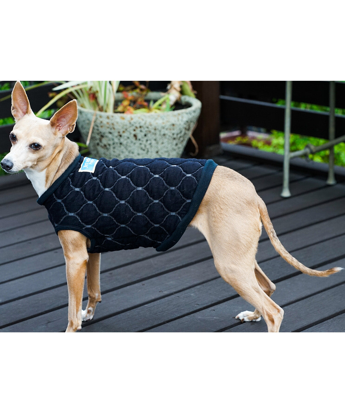 Quilt Jacquard DOG Tee