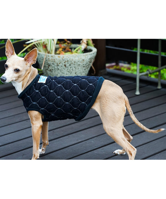 Quilt Jacquard DOG Tee