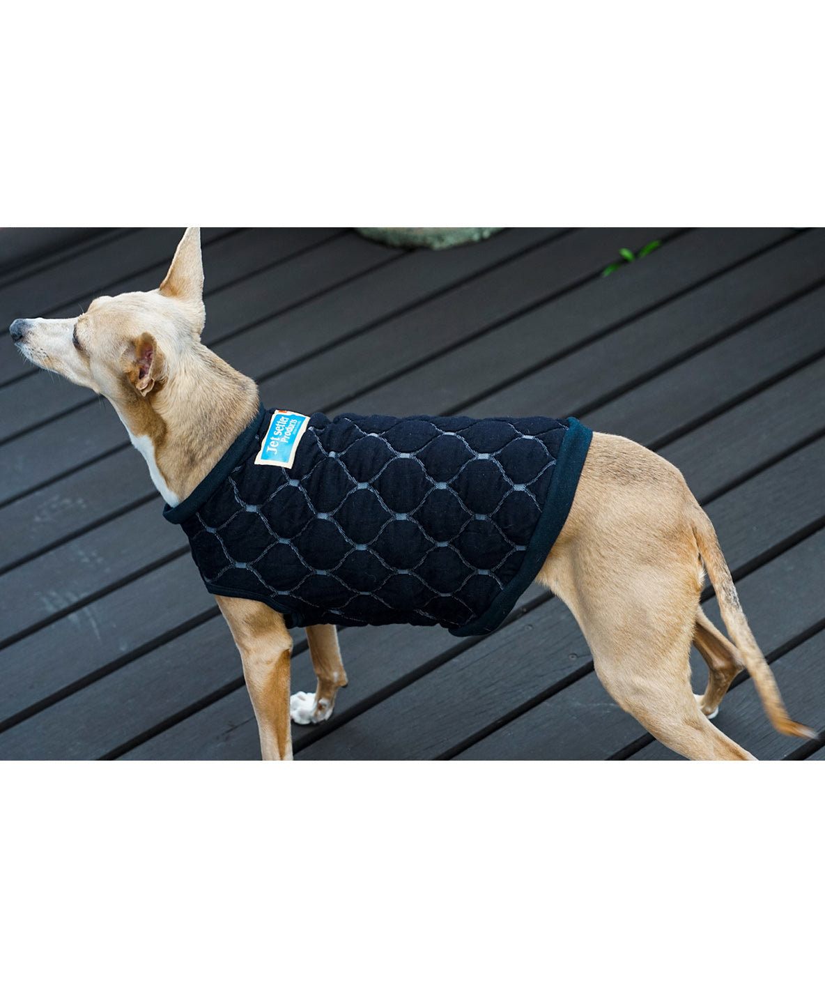 Quilt Jacquard DOG Tee