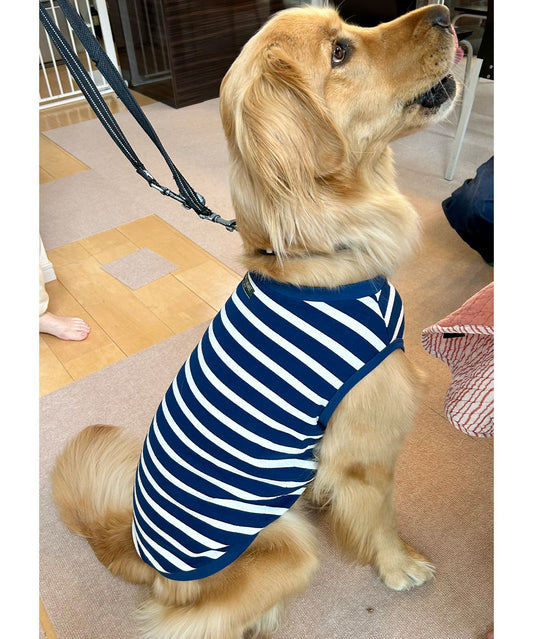 Insect Shield Striped DOG Tee