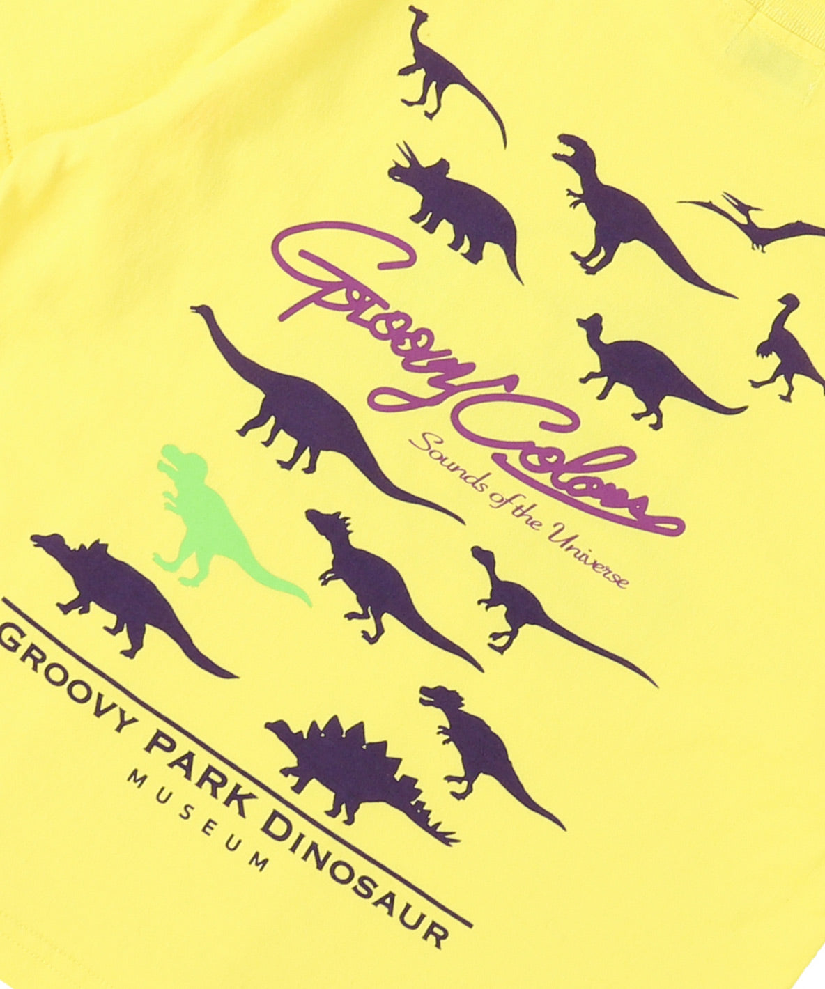 DINOSAUR Tee