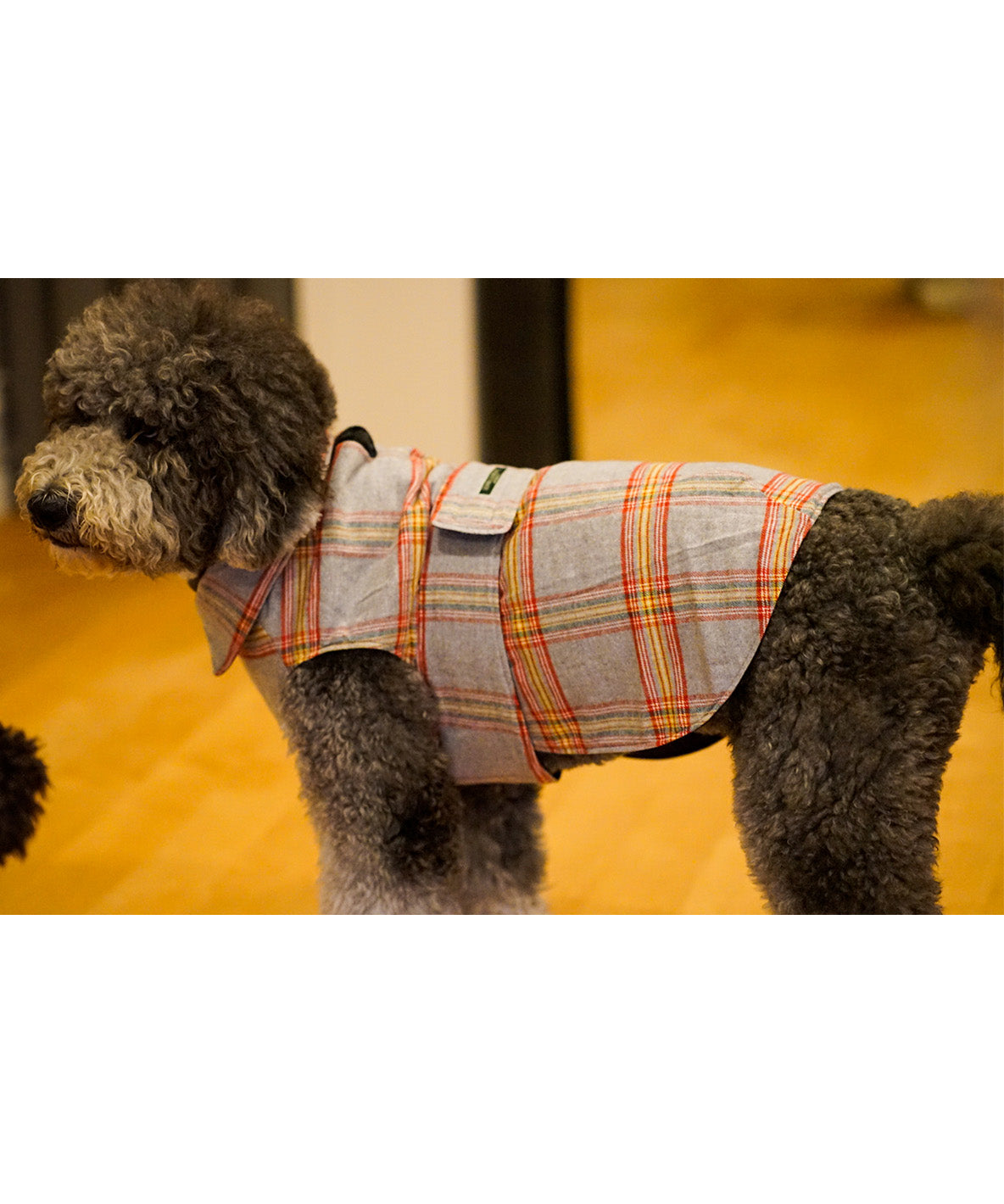 Quilting Reversible DOG Jacket