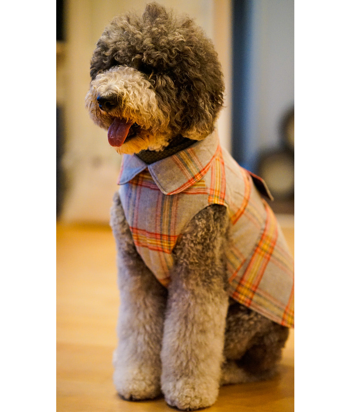 Quilting Reversible DOG Jacket