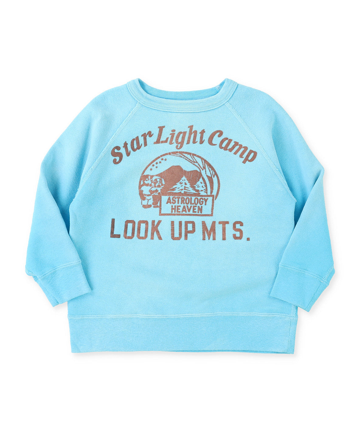 Vintage Fleece CAMP Sweatshirt
