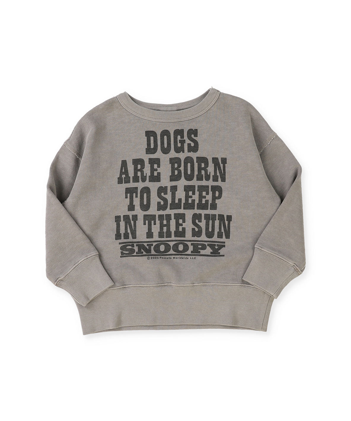 SNOOPY SUN Sweatshirt – FITH ONLINE STORE
