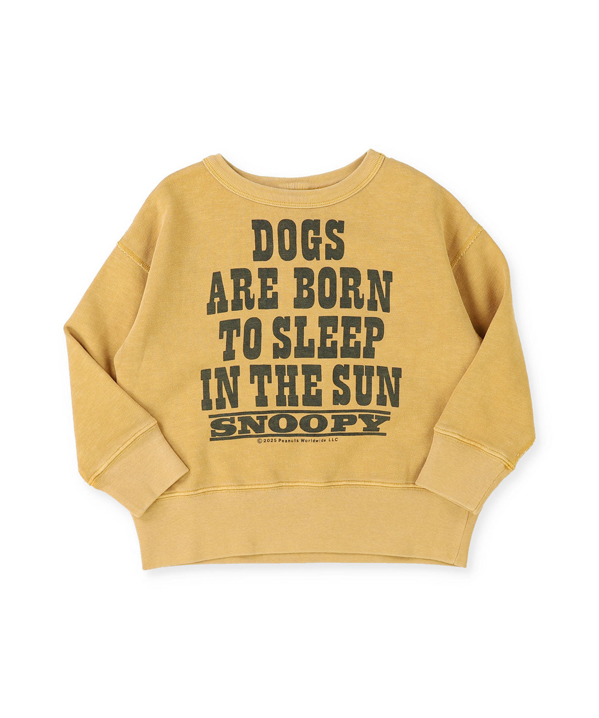 SNOOPY SUN Sweatshirt – FITH ONLINE STORE