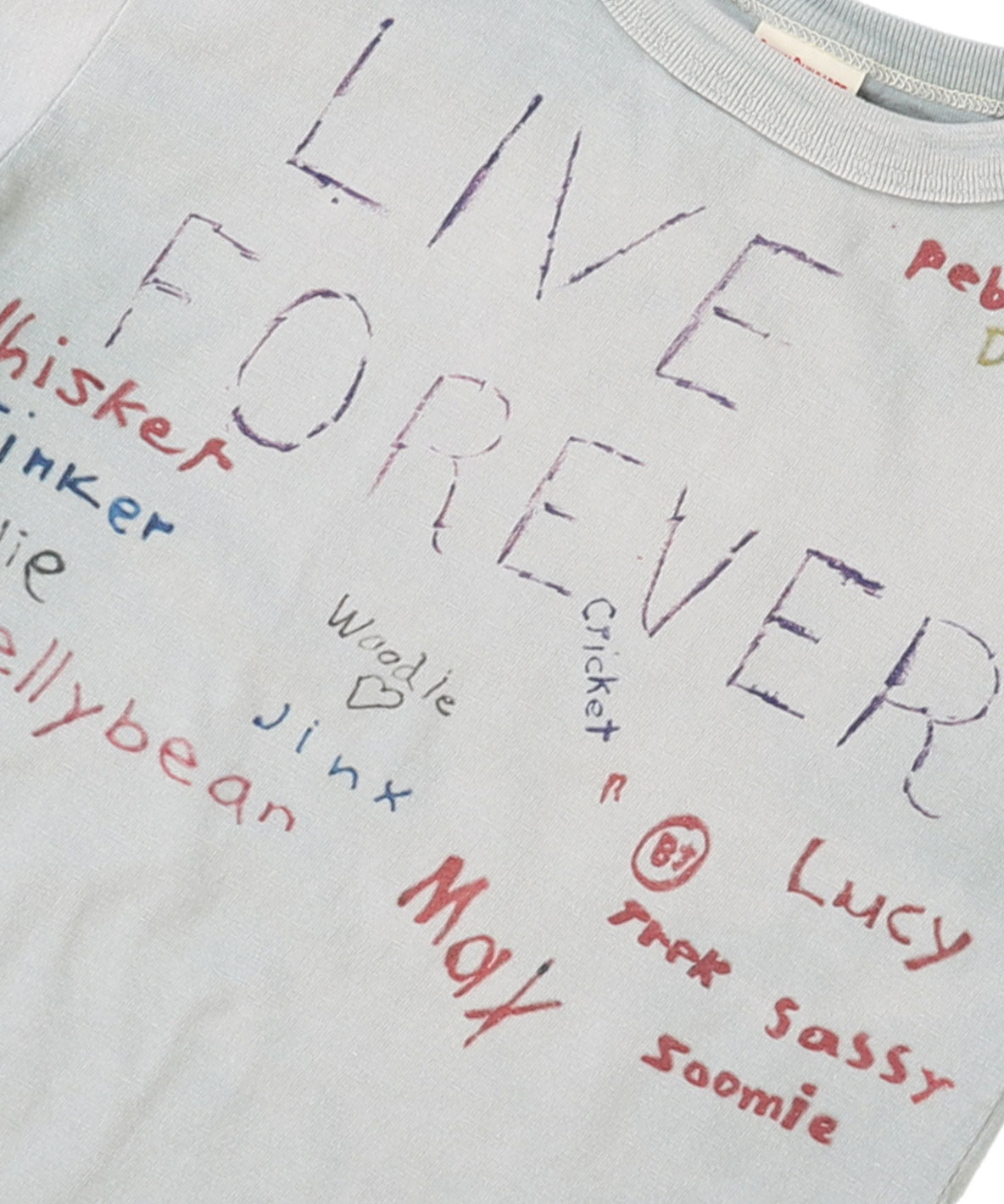 Vintage Cotton Jersey LIVE Tee