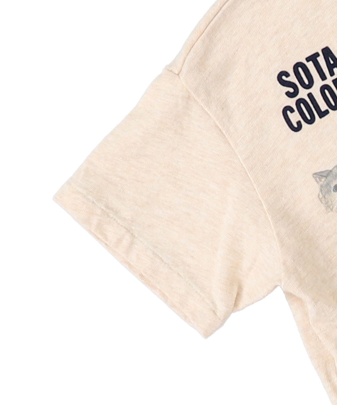 DD SOTA ART Tee