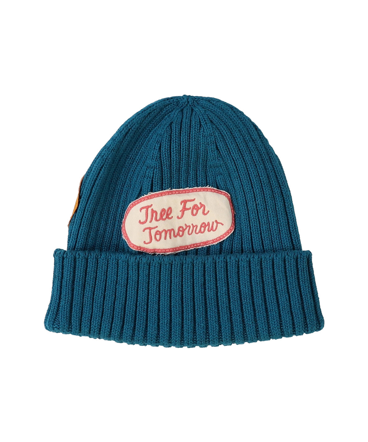 PENNIE Patch Knit Cap