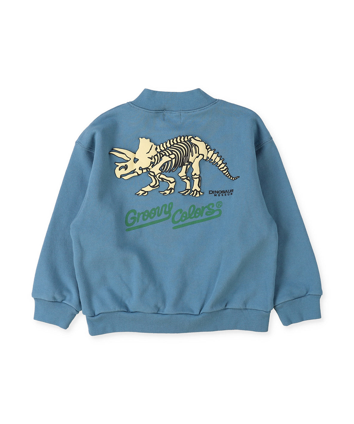 DINOSAUR Pullover Sweatshirt