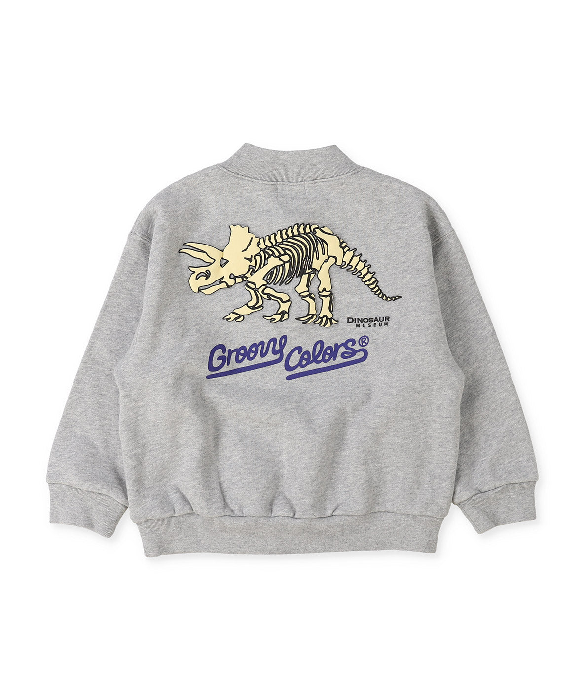 DINOSAUR Pullover Sweatshirt