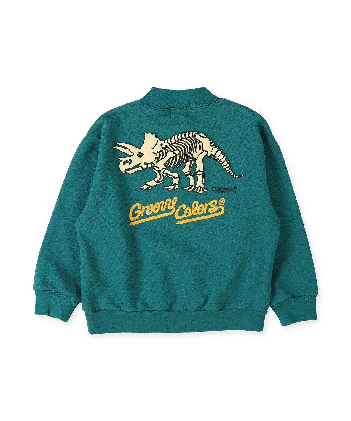 DINOSAUR Pullover Sweatshirt