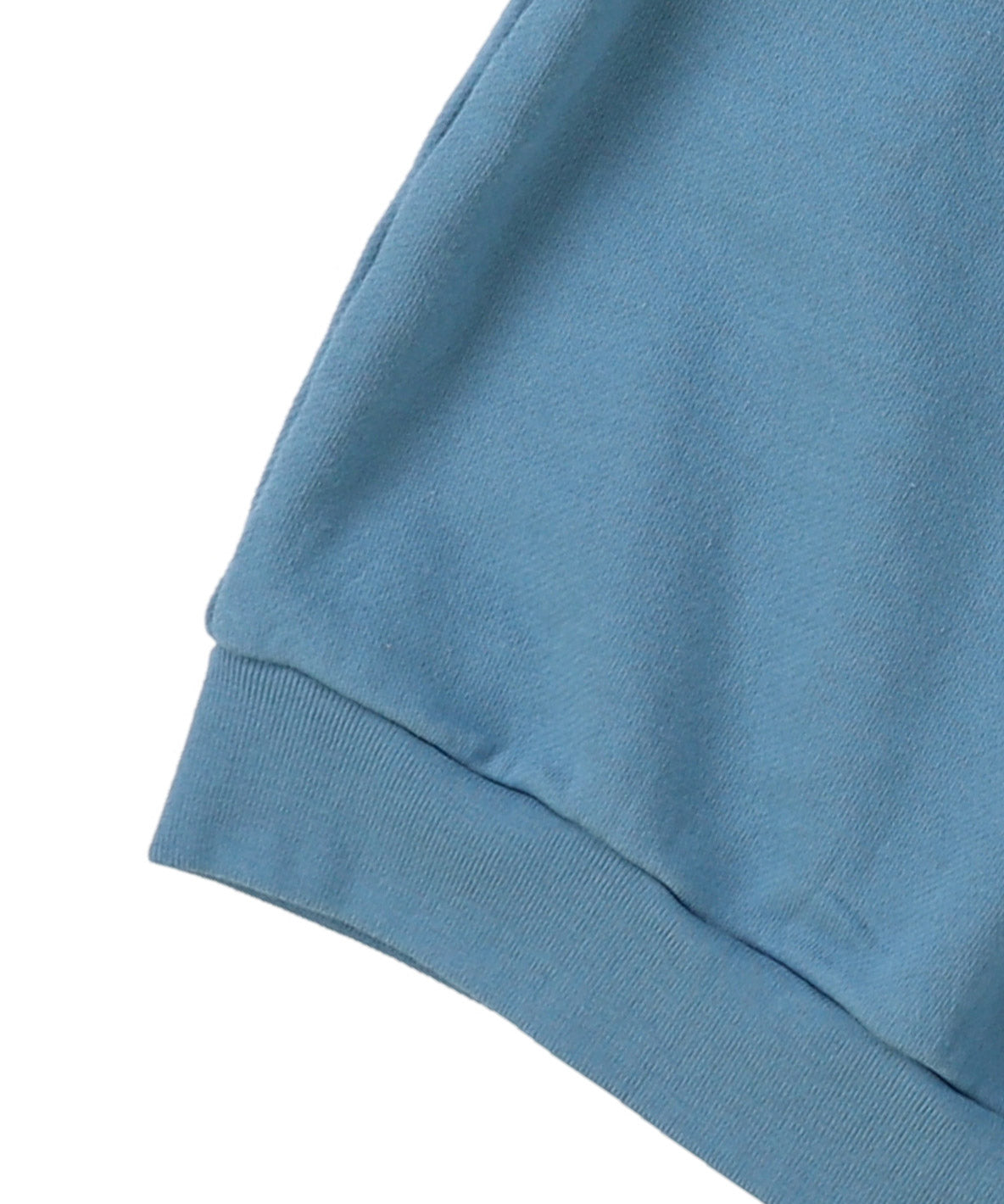 DINOSAUR Pullover Sweatshirt