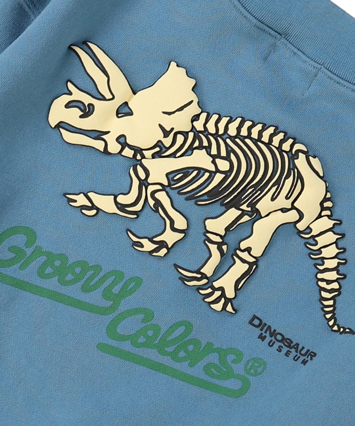 DINOSAUR Pullover Sweatshirt