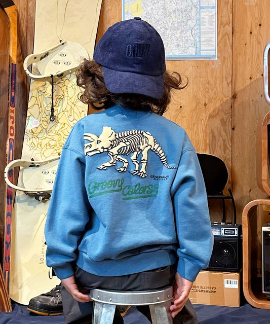 DINOSAUR Pullover Sweatshirt