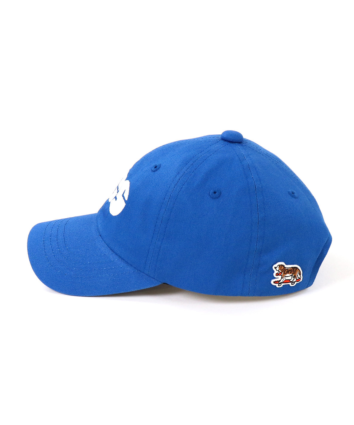 GCS 6 Panel Cap